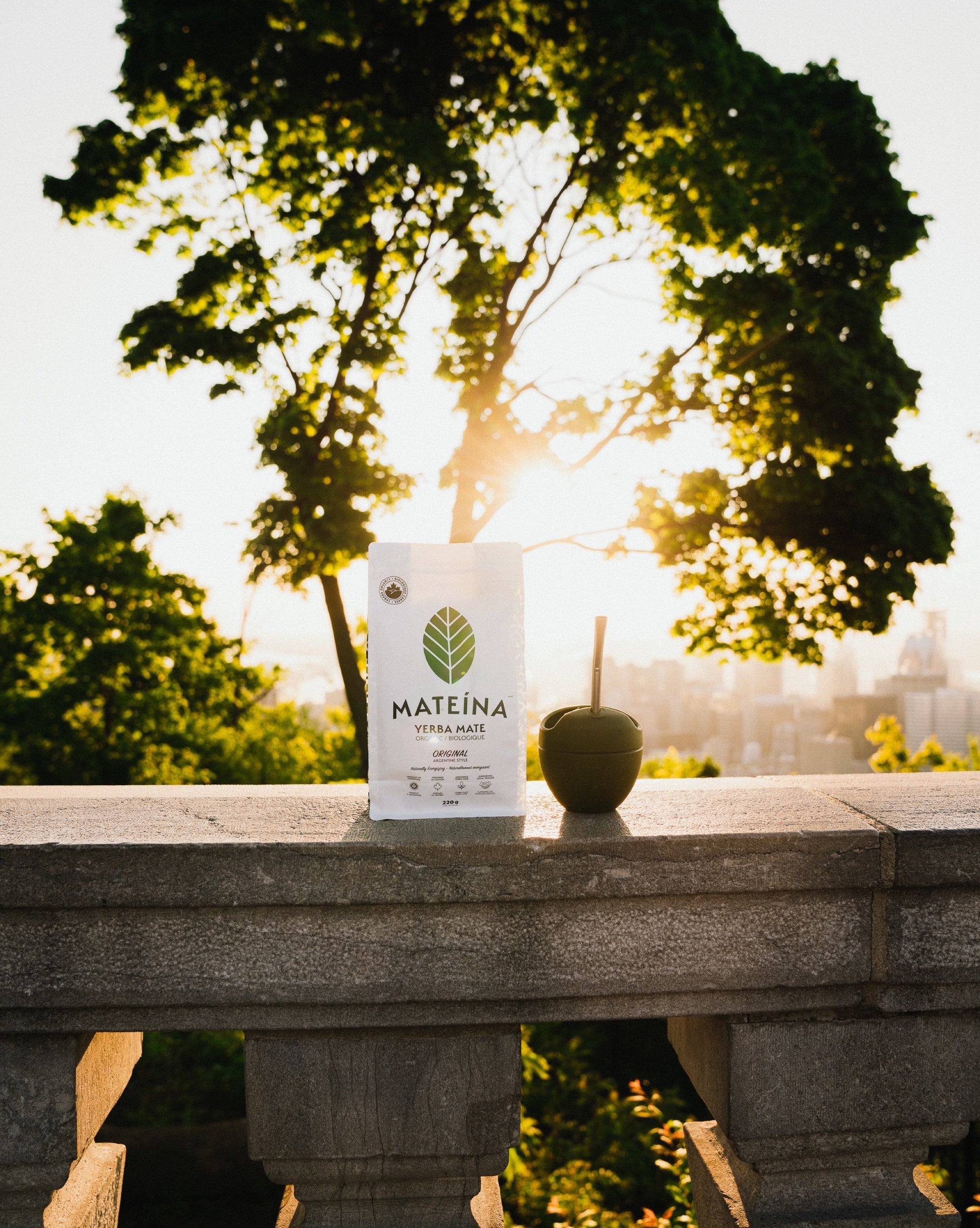 A beginner's guide: How to use and consume Yerba Mate