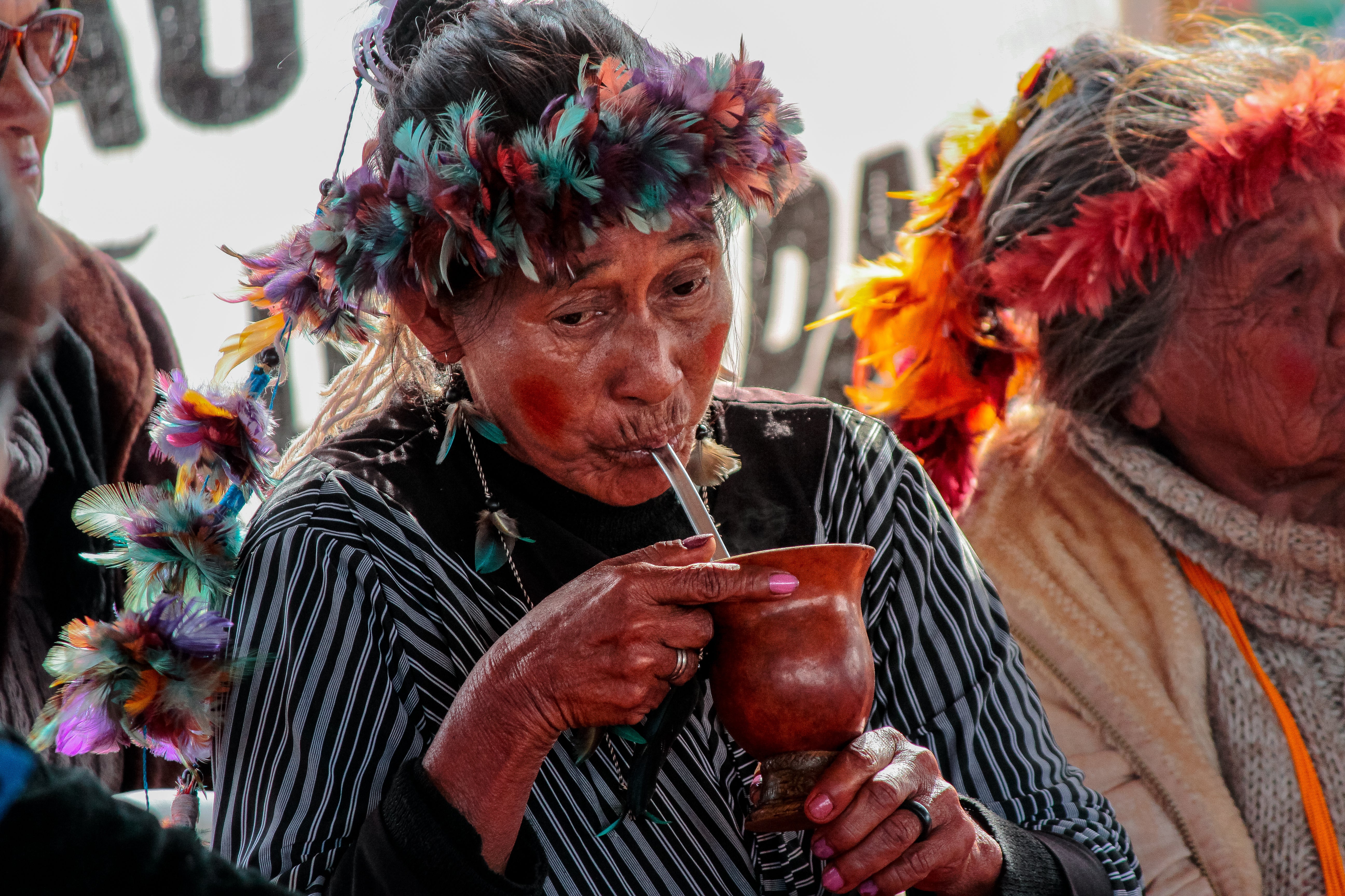 How the Pandemic Transformed Argentina's Yerba Mate Traditions - Gastro  Obscura