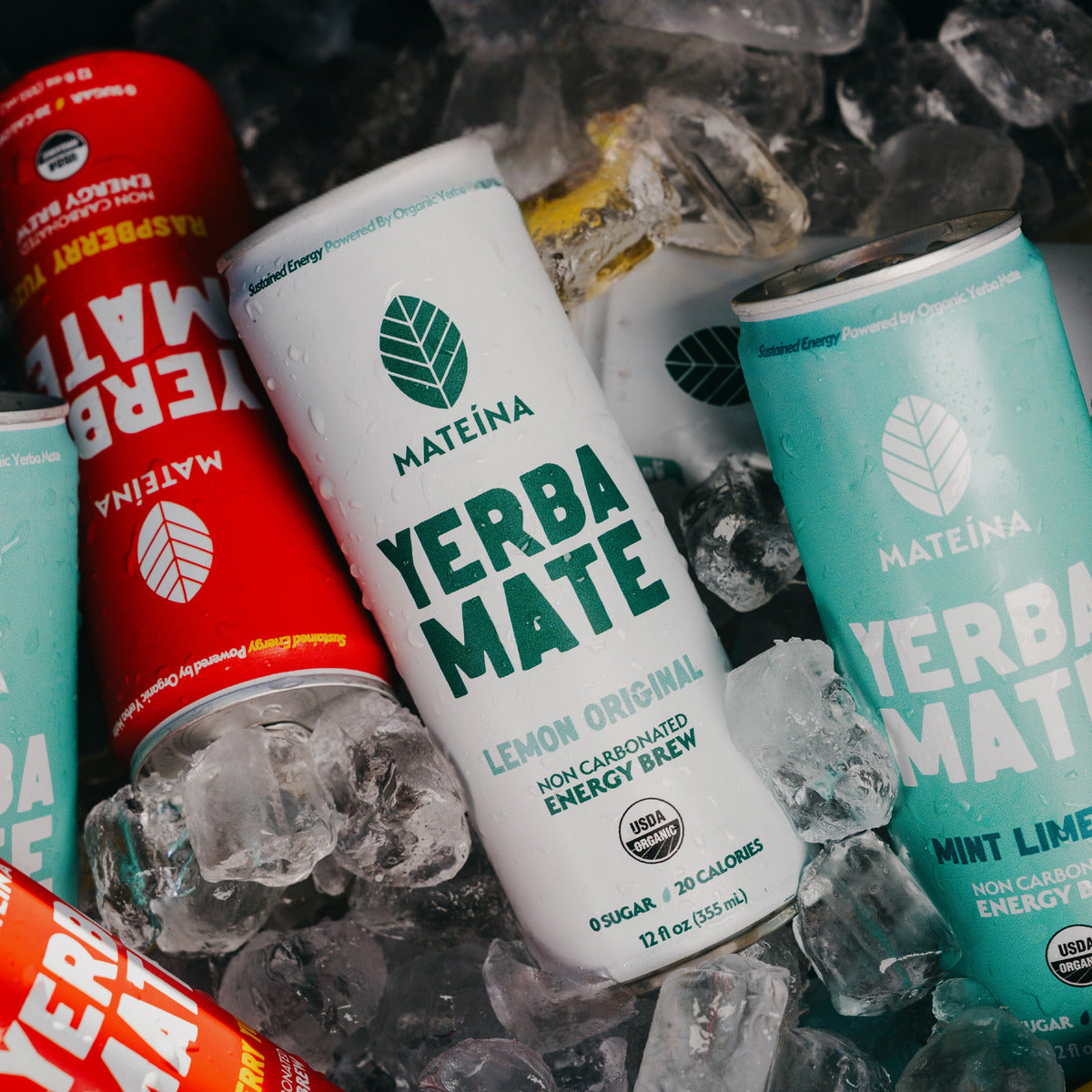 does yerba mate contain glp 1 Mateina Best Seller Yerba Mate Variety 12-Pack