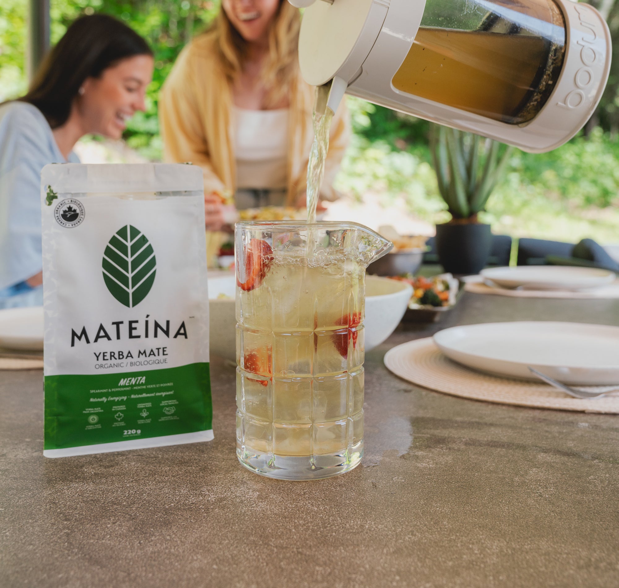 Yerba Mate Canadian Organic Natural Caffeine Plant