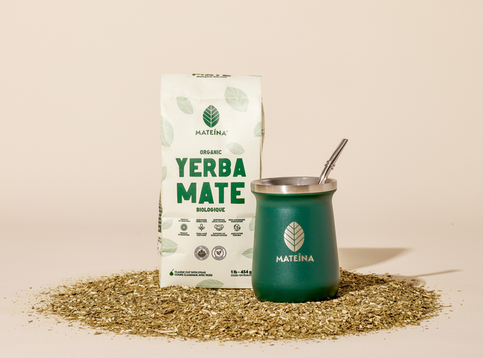 Yerba Mate Canadian Organic Natural Cafeine Plant