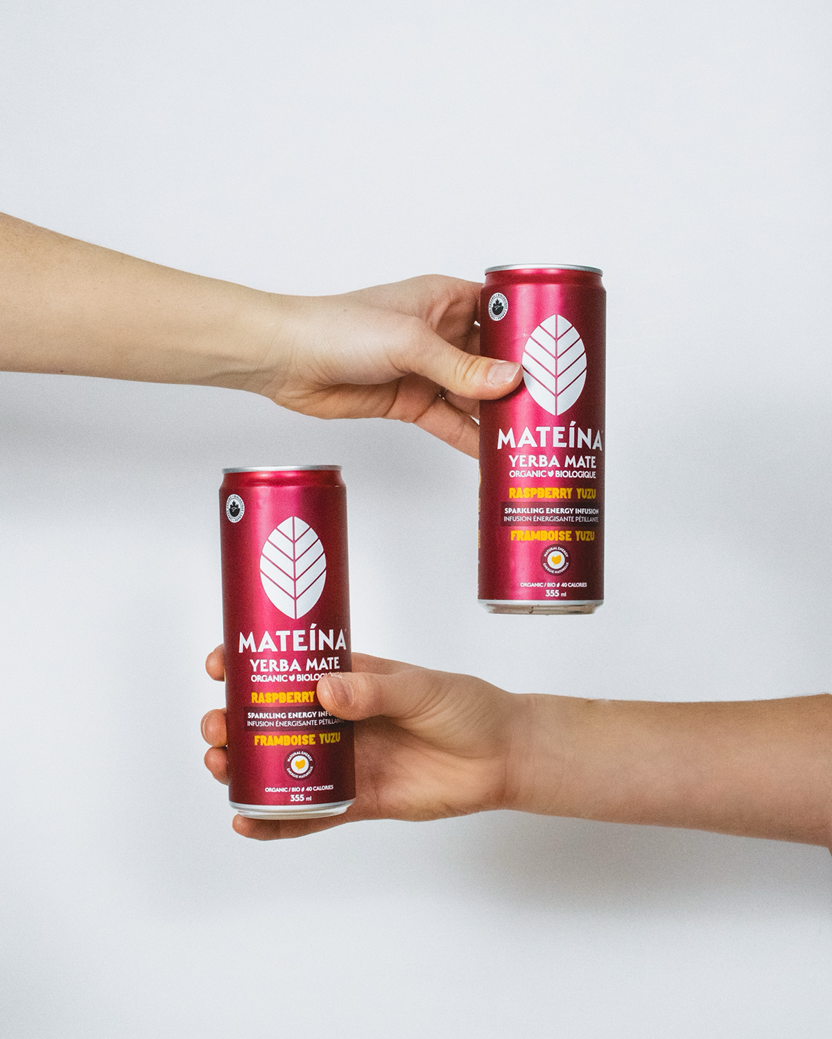 https://mateina.ca/cdn/shop/files/raspberry-yuzu-energy-infusion-mateina.png?v=1675884445&width=1200