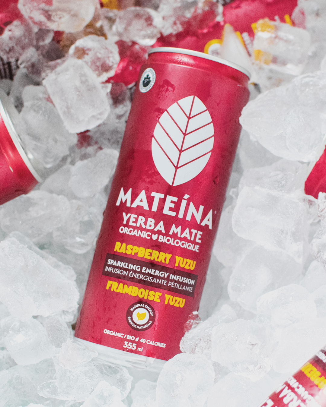 https://mateina.ca/cdn/shop/products/ry-energy-infusion-mateina-yerba-mate.png?v=1676403323&width=2000